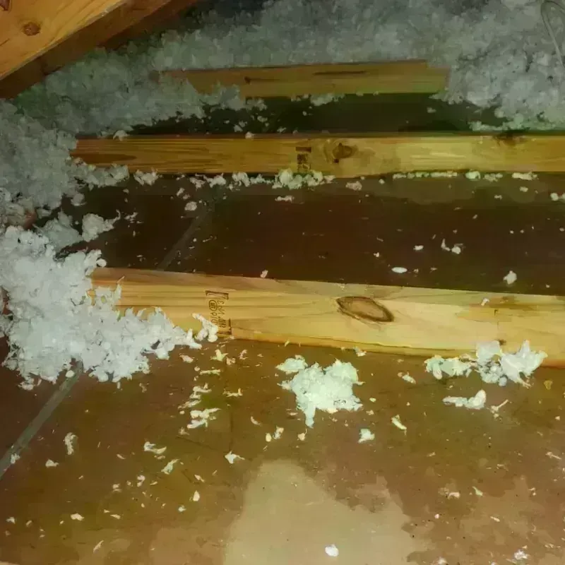 Attic Water Damage in Sterling, MA